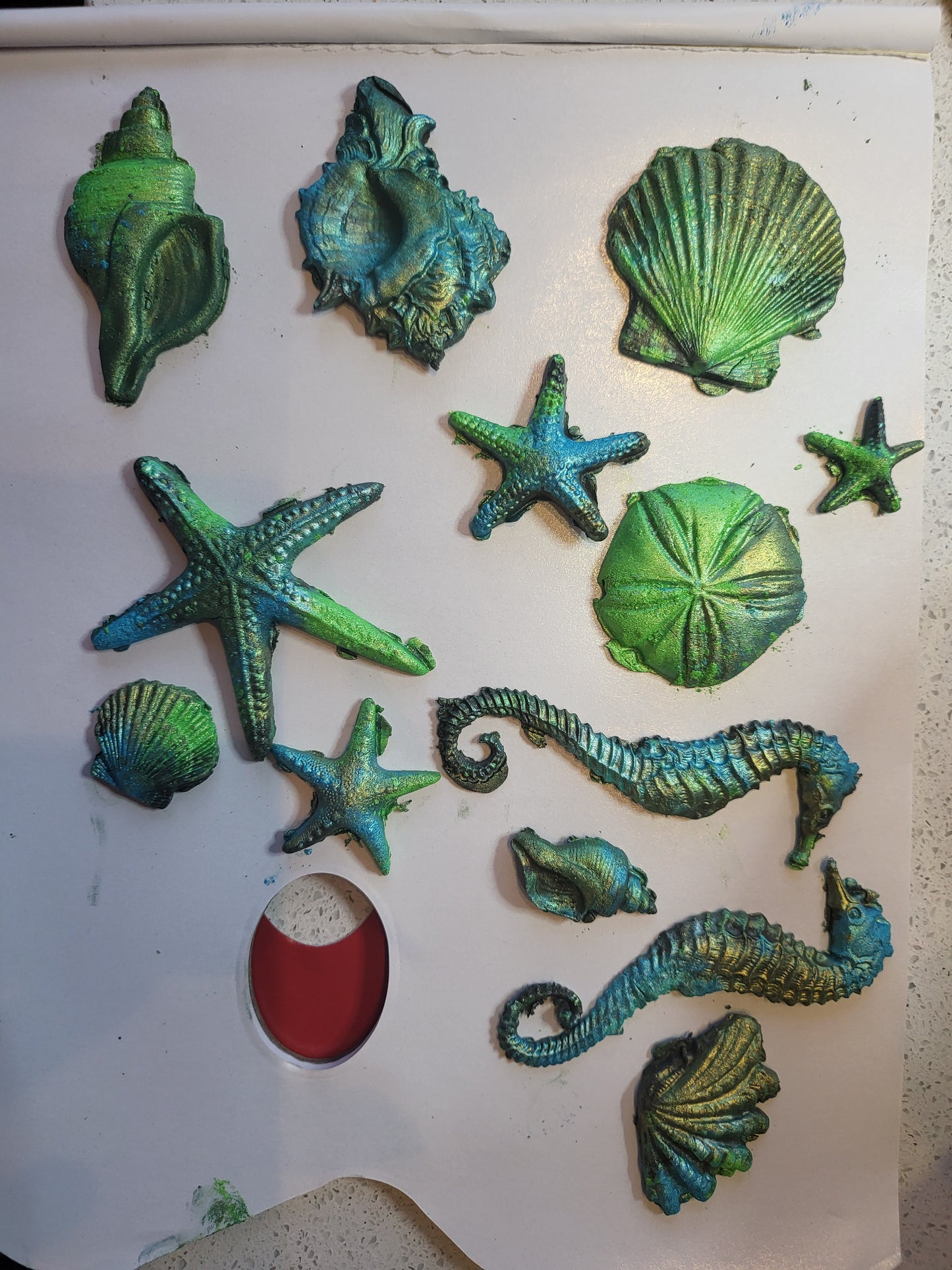 Silikonform, havets flotte skjell og dekor - 13 ulike str. 24x14 cm