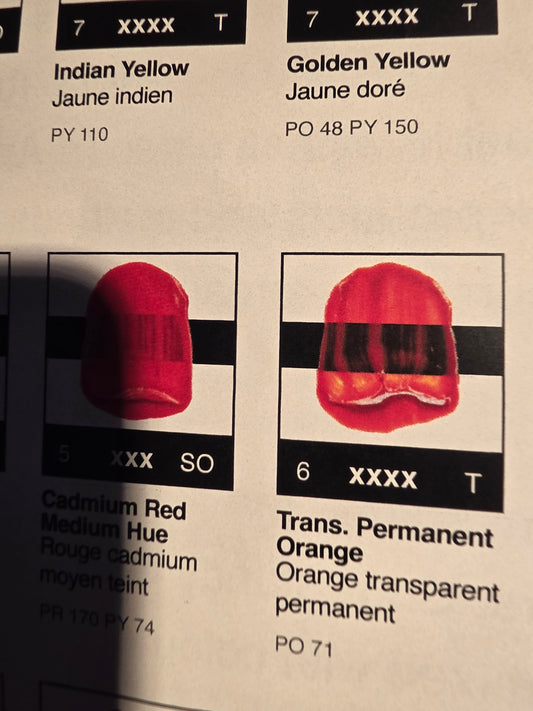 TA5100	Tri-Art High Viscosity	Transparent Permanent Orange	60mL Tube	6