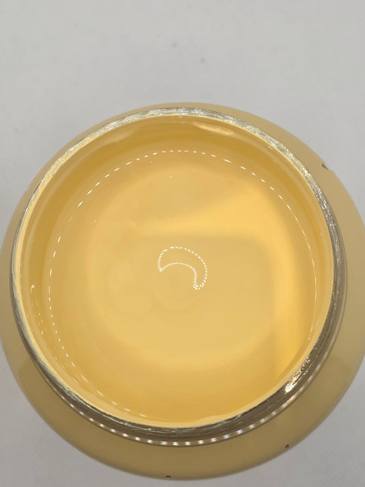 Tri-art: TA36914	New Foundations Acrylic	Naples Yellow	500mL