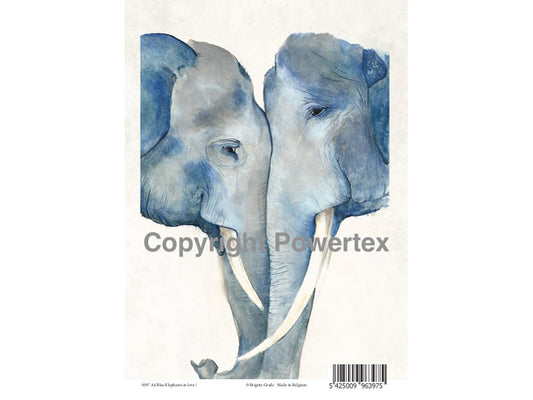 Print bilde, Blå Elefant A4 populær