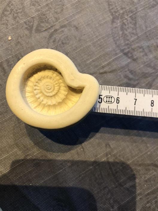 Silikonform, fosil liten, ca 5 cm