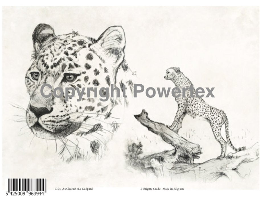 Kampanje, print bilde, Leopard i svart/kvitt A4