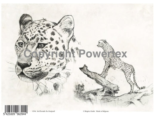 Print bilde, Leopard i svart/kvitt A4